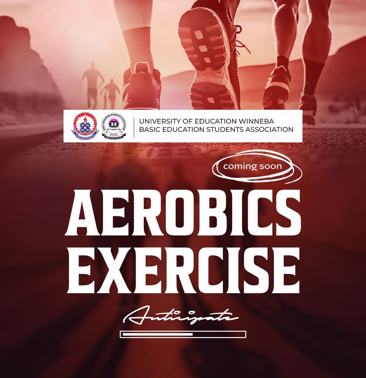 besaaerobics